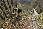 44 Ponticello in ferro e cemento della Societa Orobia